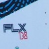 2011_flex-wakeboarding-wakeskating-photos.jpg