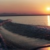 enzo-24-sunset-cruise-wakeboarding-wakeskating-photos.jpg
