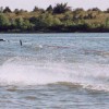 image-wakeboarding-wakeskating-photos.jpg