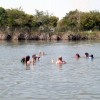 image-wakeboarding-wakeskating-photos.jpg