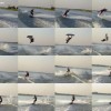 image-wakeboarding-wakeskating-photos.jpg