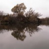 image-wakeboarding-wakeskating-photos.jpg