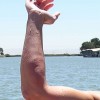 image-wakeboarding-wakeskating-photos.jpg