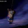 image-wakeboarding-wakeskating-photos.jpg