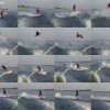 image-wakeboarding-wakeskating-photos.jpg