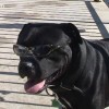 image-wakeboarding-wakeskating-photos.jpg