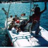 image-wakeboarding-wakeskating-photos.jpg