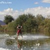 image-wakeboarding-wakeskating-photos.jpg