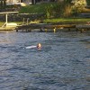 image-wakeboarding-wakeskating-photos.jpg