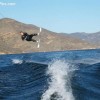 image-wakeboarding-wakeskating-photos.jpg