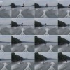 image-wakeboarding-wakeskating-photos.jpg