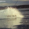 image-wakeboarding-wakeskating-photos.jpg