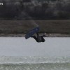 image-wakeboarding-wakeskating-photos.jpg