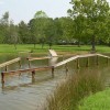 image-wakeboarding-wakeskating-photos.jpg