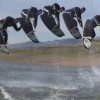 image-wakeboarding-wakeskating-photos.jpg