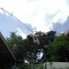 image-wakeboarding-wakeskating-photos.jpg