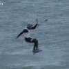 image-wakeboarding-wakeskating-photos.jpg