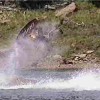 image-wakeboarding-wakeskating-photos.jpg