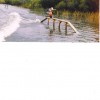 image-wakeboarding-wakeskating-photos.jpg