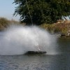 image-wakeboarding-wakeskating-photos.jpg
