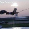 image-wakeboarding-wakeskating-photos.jpg