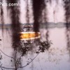 image-wakeboarding-wakeskating-photos.jpg