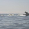 image-wakeboarding-wakeskating-photos.jpg