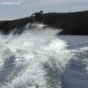 image-wakeboarding-wakeskating-photos.jpg