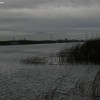 image-wakeboarding-wakeskating-photos.jpg