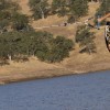 image-wakeboarding-wakeskating-photos.jpg