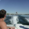 image-wakeboarding-wakeskating-photos.jpg