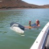 image-wakeboarding-wakeskating-photos.jpg