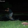 image-wakeboarding-wakeskating-photos.jpg