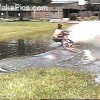 image-wakeboarding-wakeskating-photos.jpg