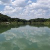 image-wakeboarding-wakeskating-photos.jpg