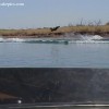 image-wakeboarding-wakeskating-photos.jpg