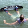 image-wakeboarding-wakeskating-photos.jpg