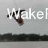 image-wakeboarding-wakeskating-photos.jpg