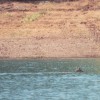 image-wakeboarding-wakeskating-photos.jpg