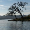 image-wakeboarding-wakeskating-photos.jpg