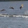 image-wakeboarding-wakeskating-photos.jpg