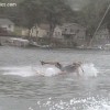 image-wakeboarding-wakeskating-photos.jpg