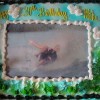 image-wakeboarding-wakeskating-photos.jpg