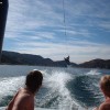 image-wakeboarding-wakeskating-photos.jpg