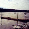 image-wakeboarding-wakeskating-photos.jpg