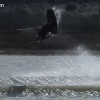 image-wakeboarding-wakeskating-photos.jpg