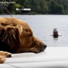 image-wakeboarding-wakeskating-photos.jpg