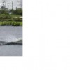 image-wakeboarding-wakeskating-photos.jpg