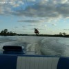image-wakeboarding-wakeskating-photos.jpg
