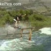 image-wakeboarding-wakeskating-photos.jpg